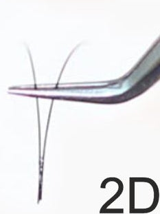 B Curve / Black Pre-Fanned Eyelash Extensions