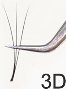 B Curve / Black Pre-Fanned Eyelash Extensions