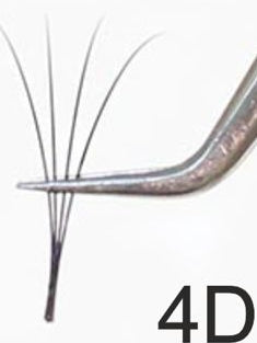 B Curve / Black Pre-Fanned Eyelash Extensions