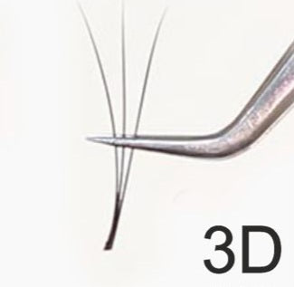 D Curve / Black Pre-Fanned Eyelash Extensions