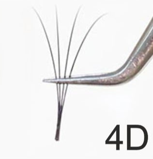 D Curve / Black Pre-Fanned Eyelash Extensions